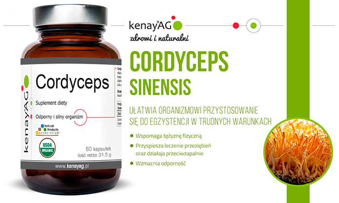 cordyceps