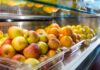 Profesjonalne lady chłodnicze – jak wybrać wyposażenie do sklepu i gastronomii? lady chłodnicze